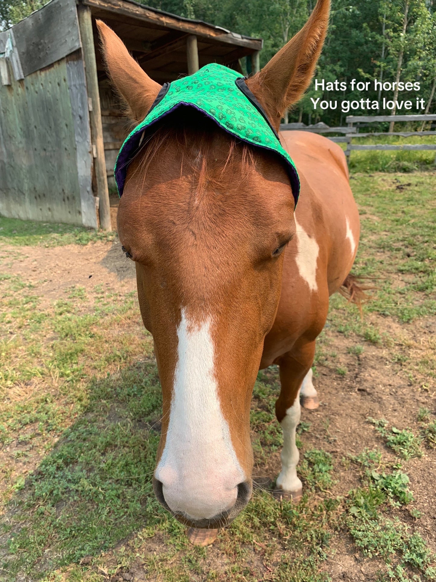 Tyedye Fleece Horse Hat image 1