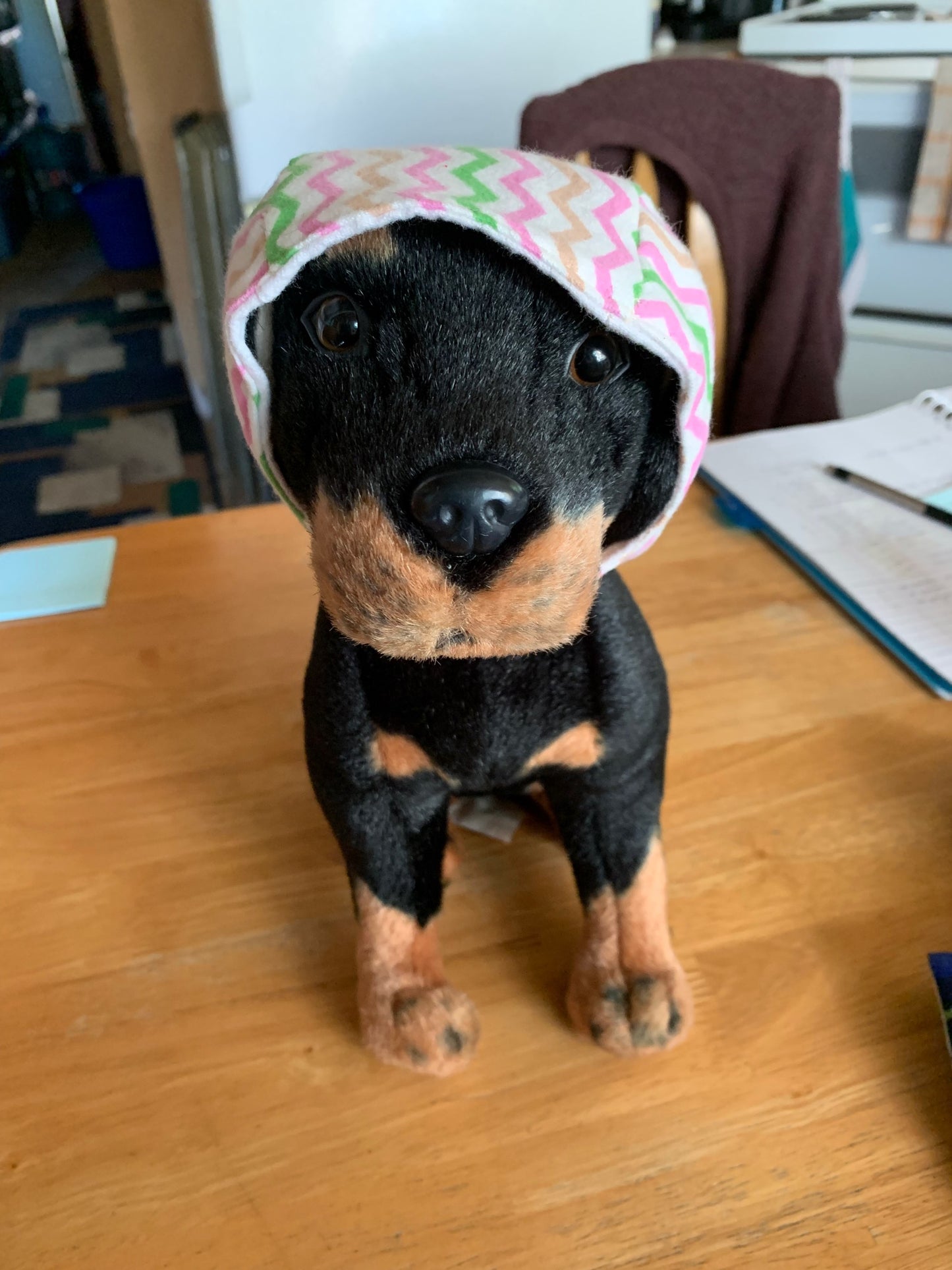 Multicoloured Zigzag Pet Cap image 0