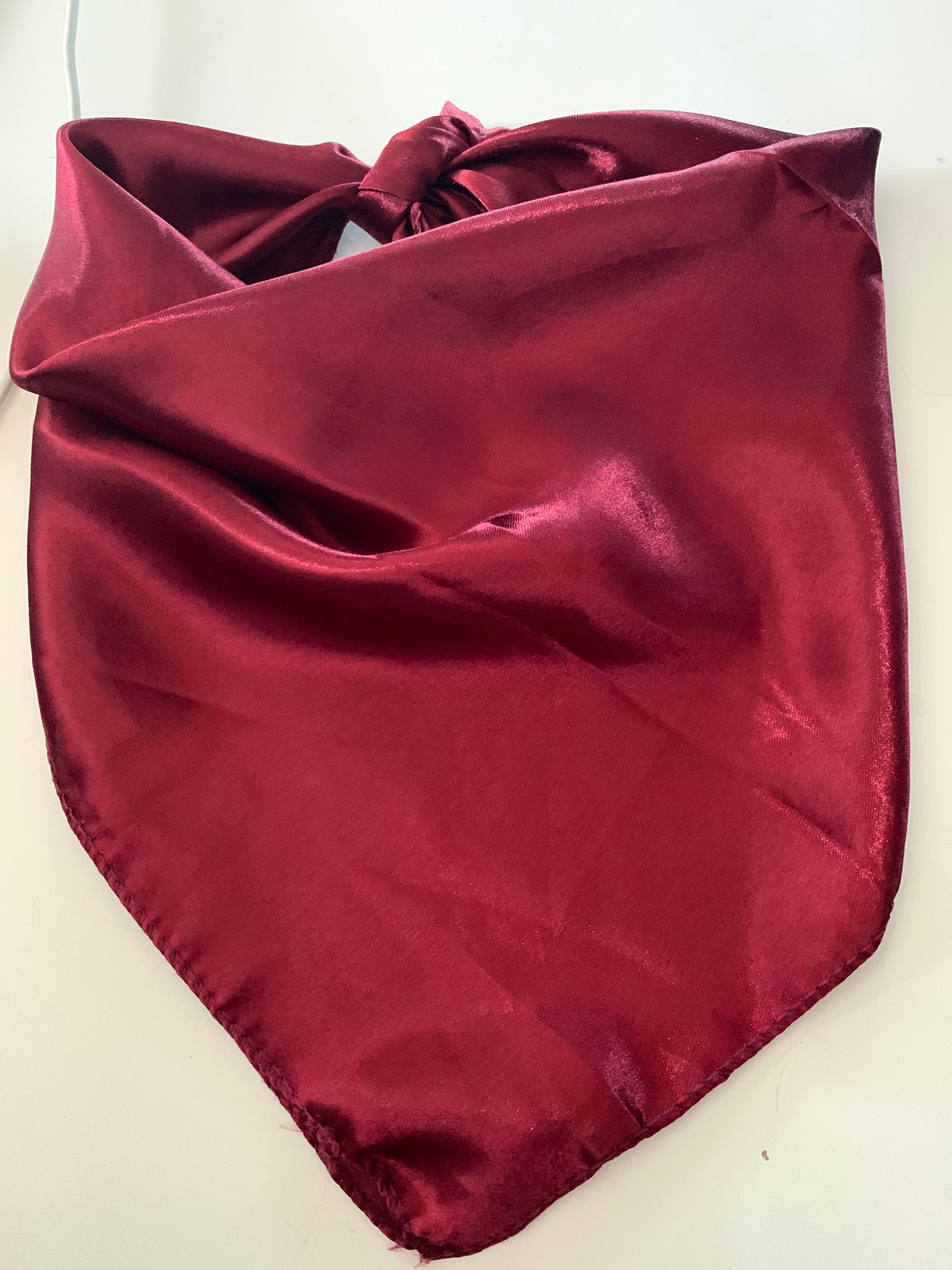Satin pet bandanas