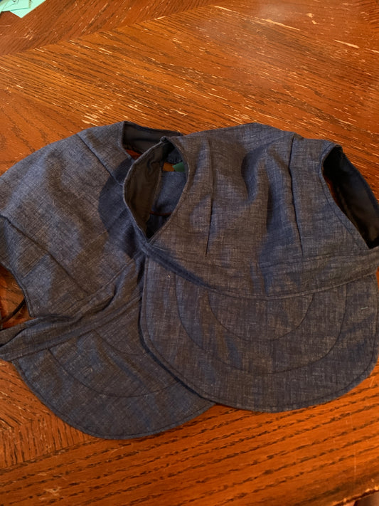 Blue Pet Baseball Hat