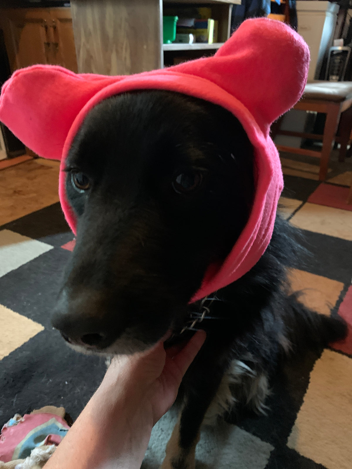 Light blue bulldog hat