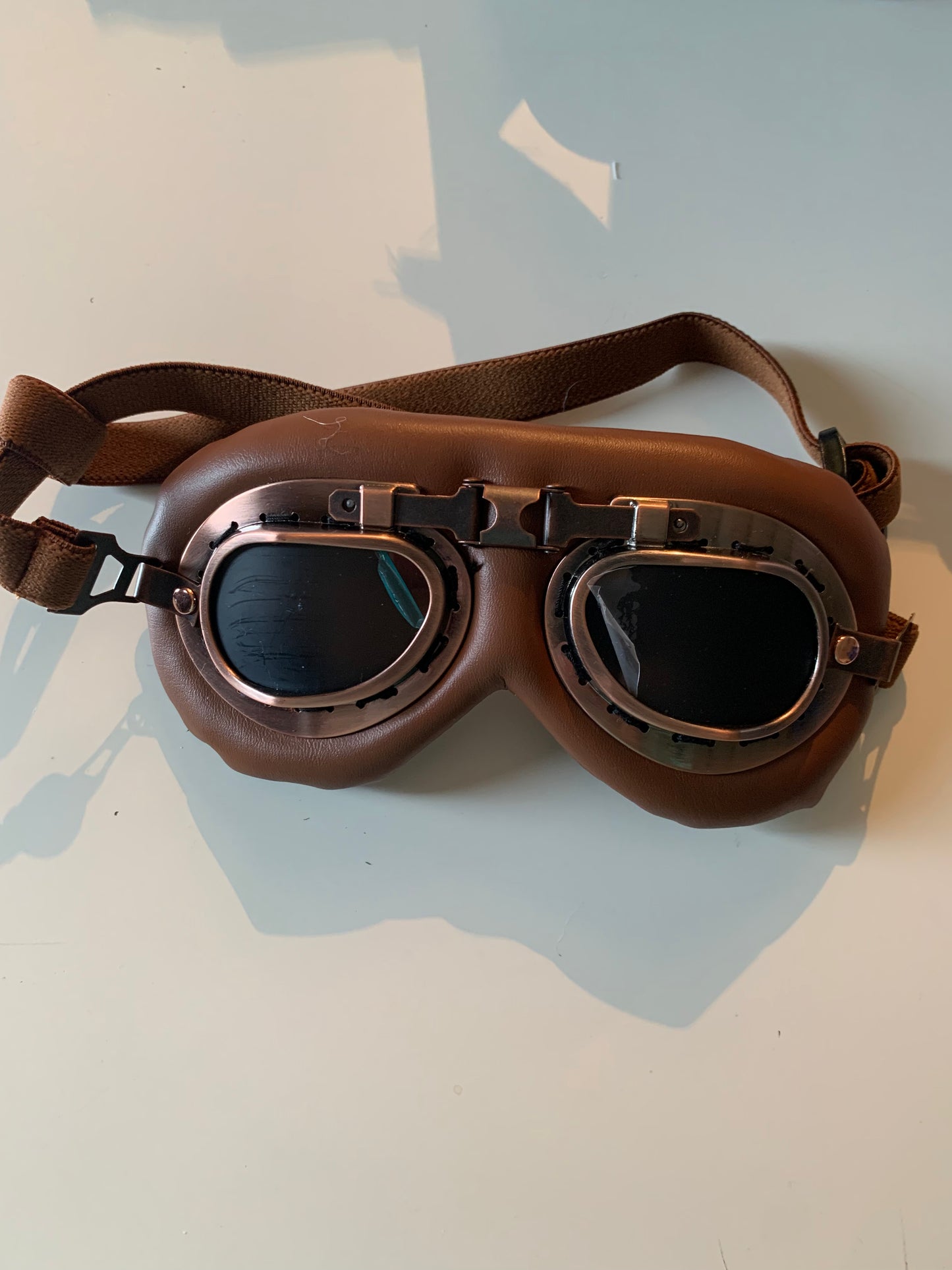Brown Pet goggles
