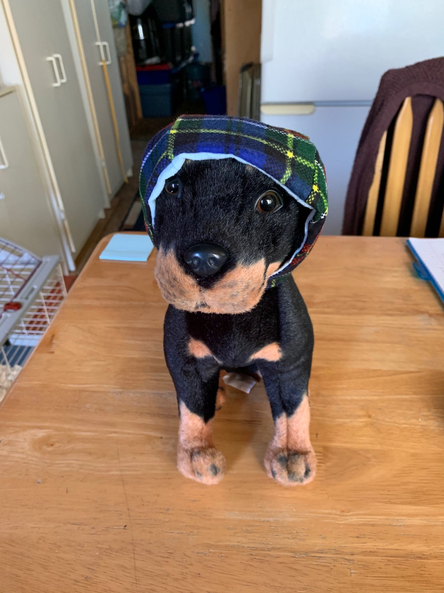 Fleece Paw Prints Pet Cap image 3