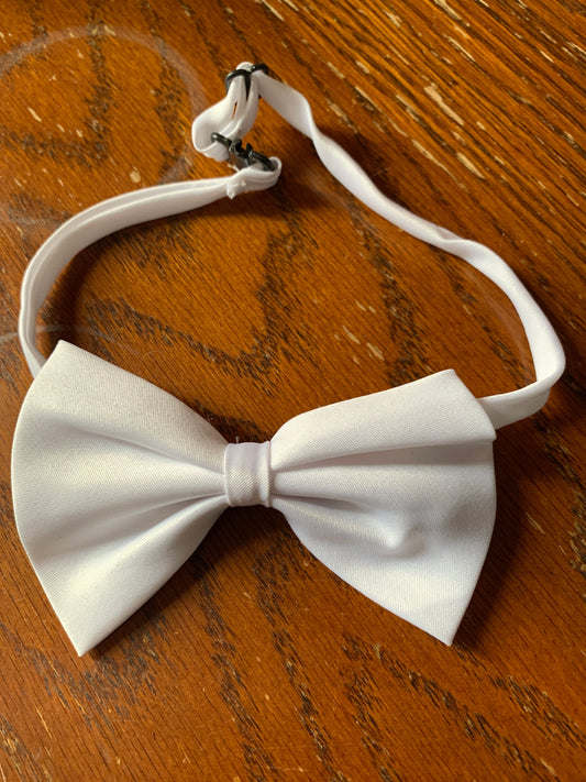 White pet bow tie
