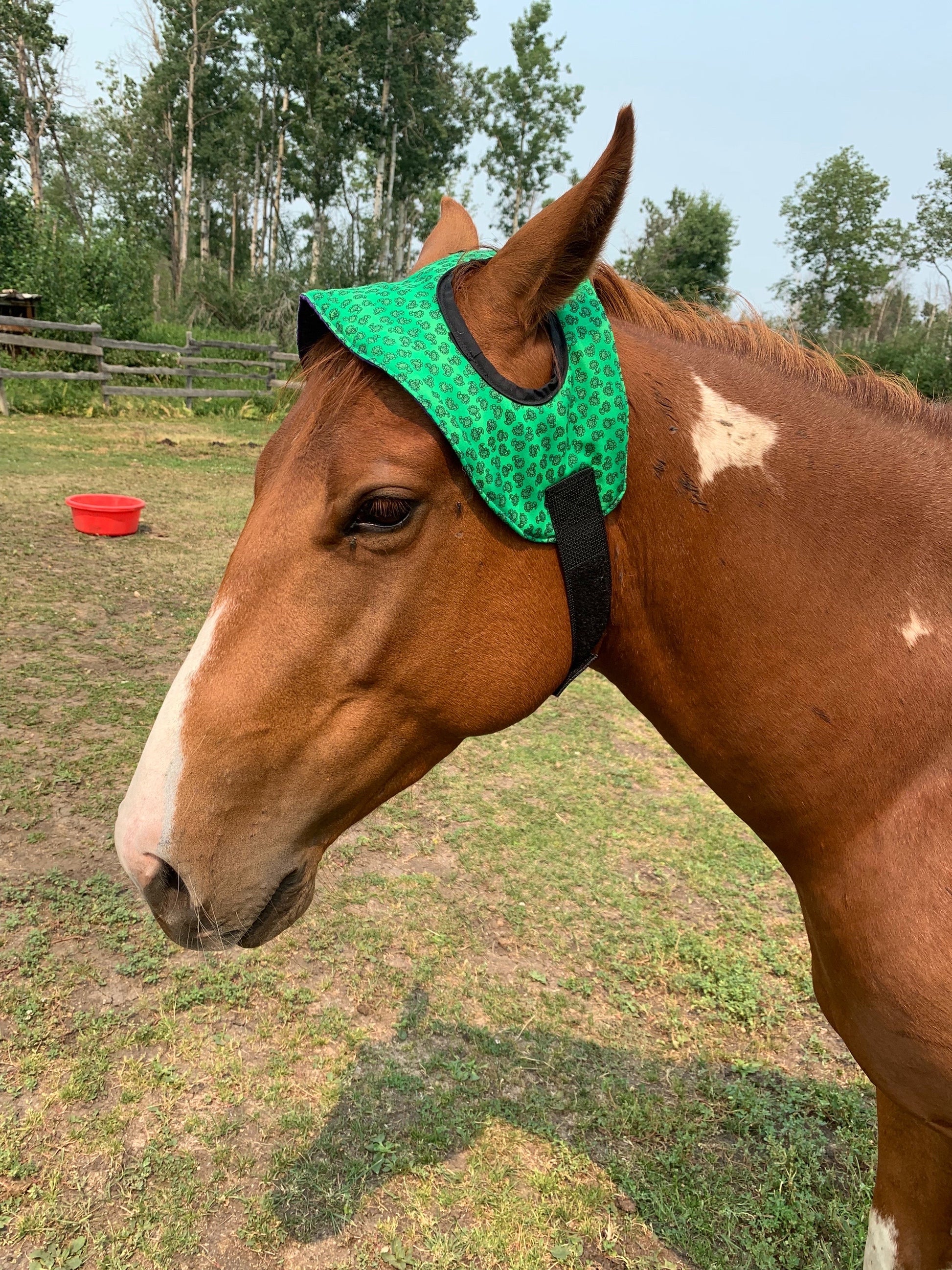 Ants Horse Hat image 1