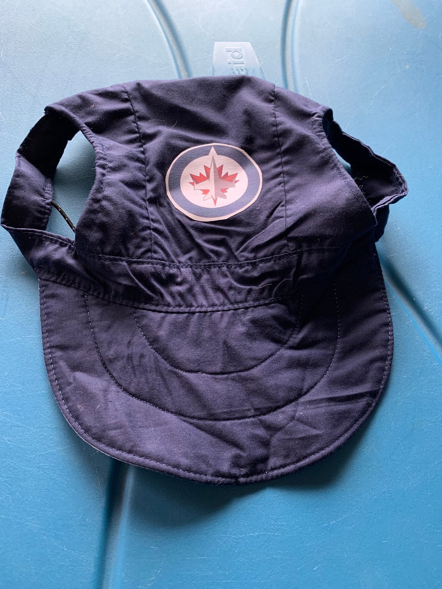 Winnipeg Jets Pet Baseball Hat