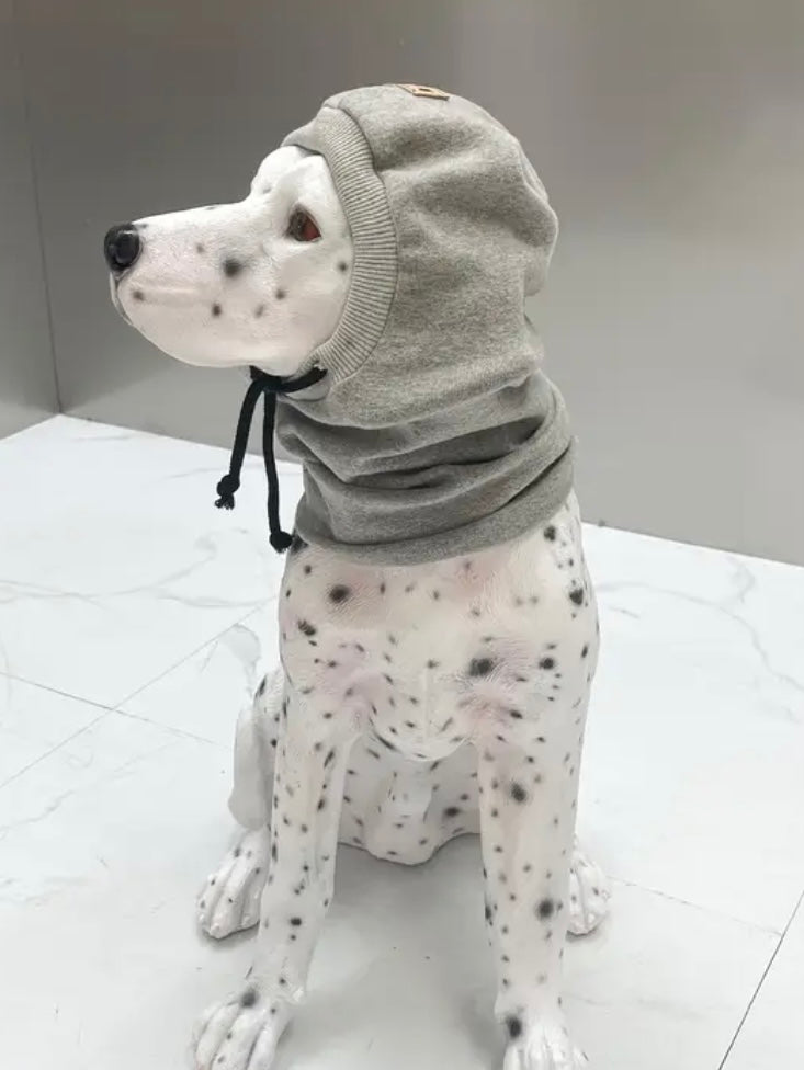 Grey hooded pet cover