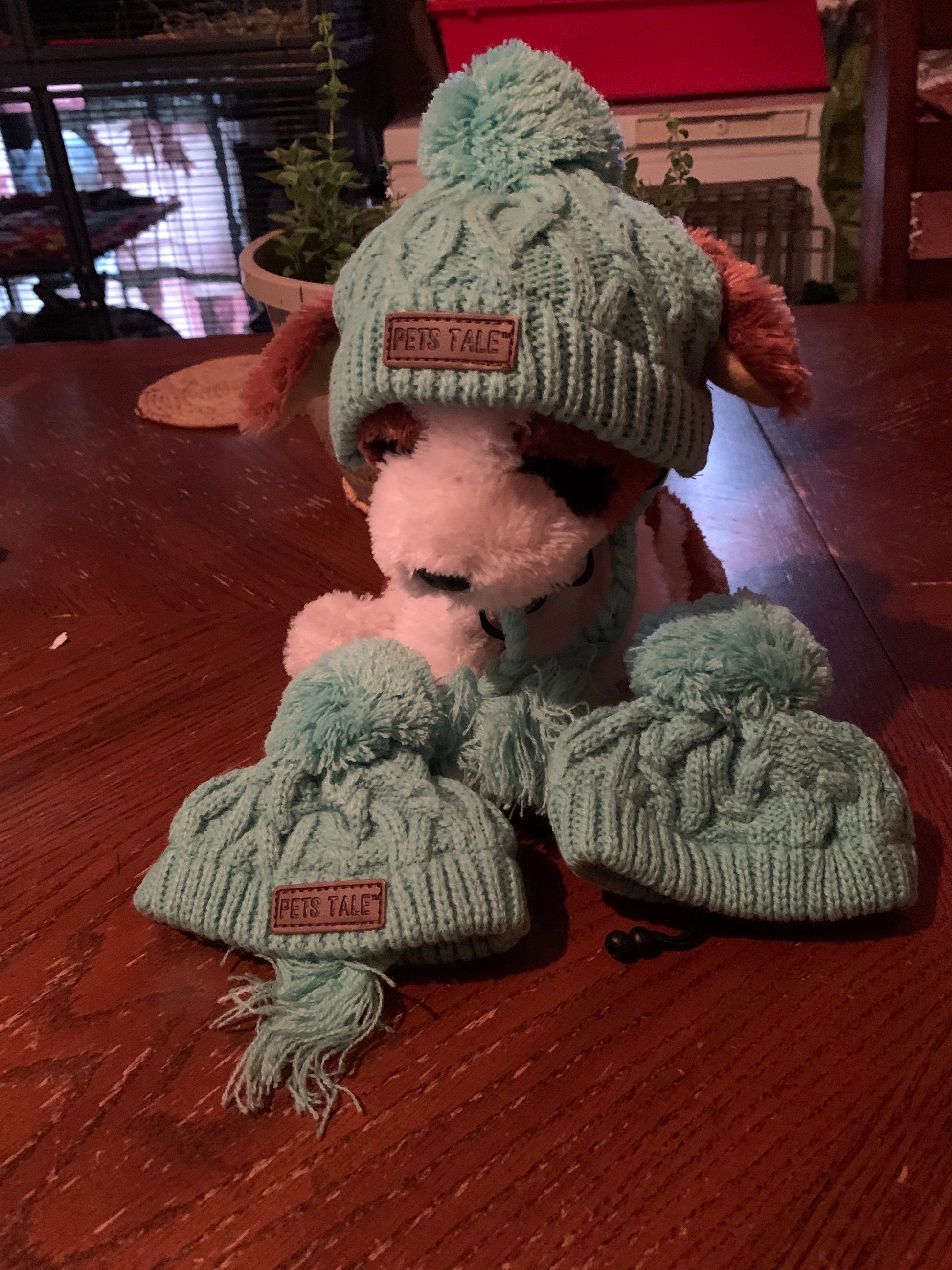 Green knitted pet winter Toque image 0