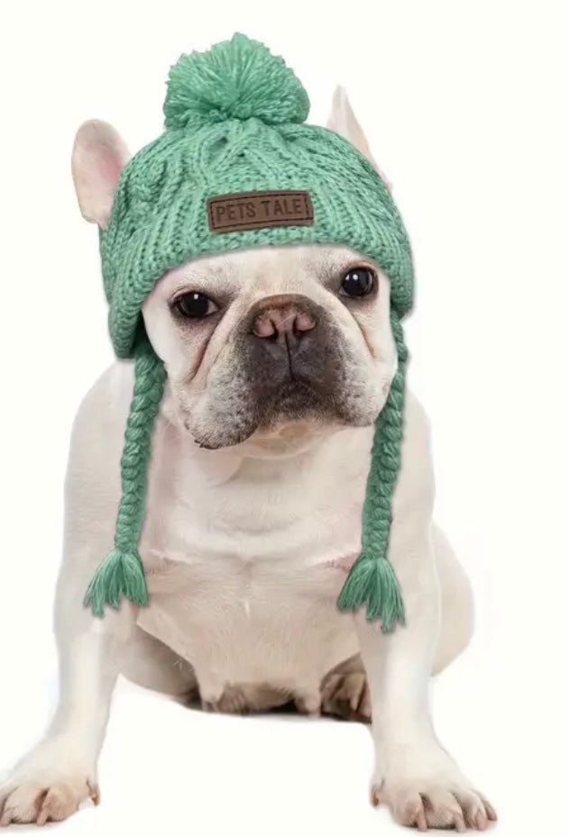 Green knitted pet winter Toque image 1