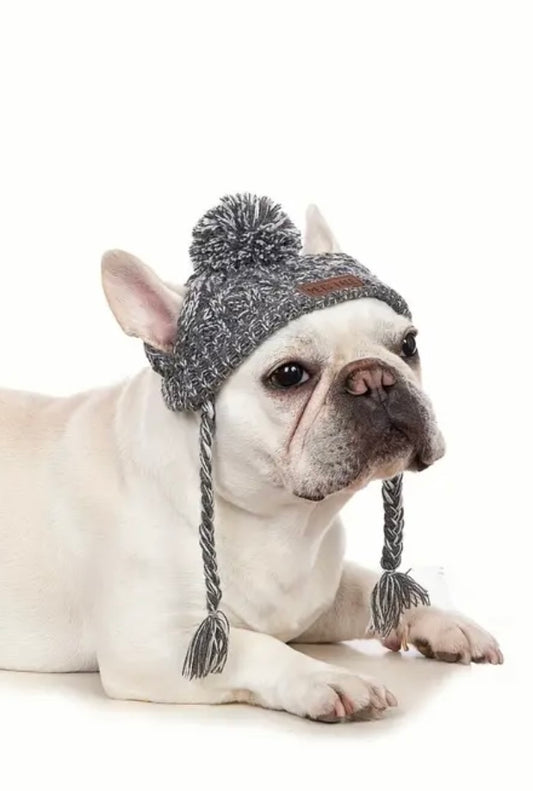 Grey Winter Pet Toque image 0