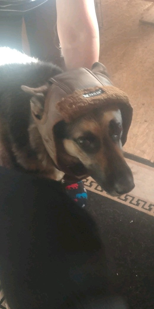 Pet Aviator Hat image 0
