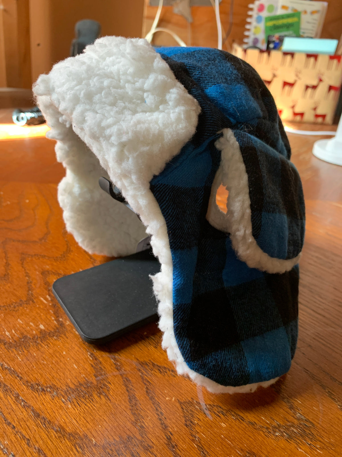 Pet trapper hats