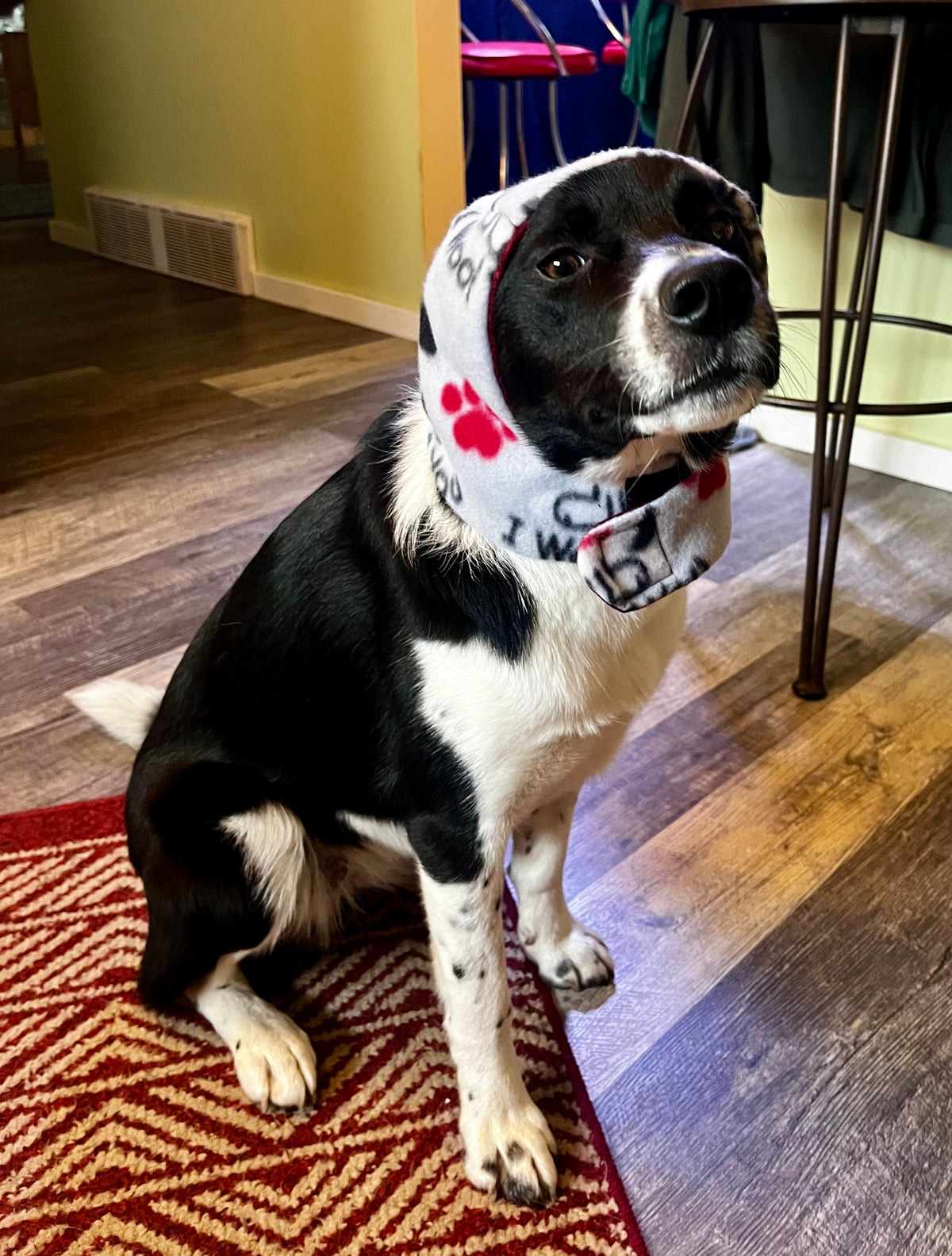 Brown abstract fleece winter pet hat