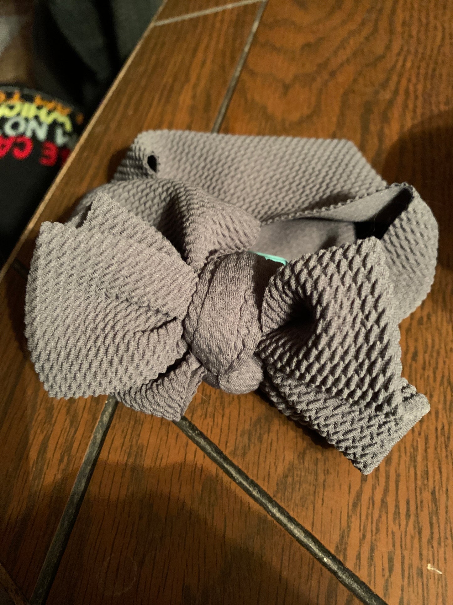 Pet head band