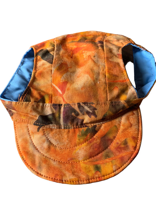 Fall leafs pet baseball hat