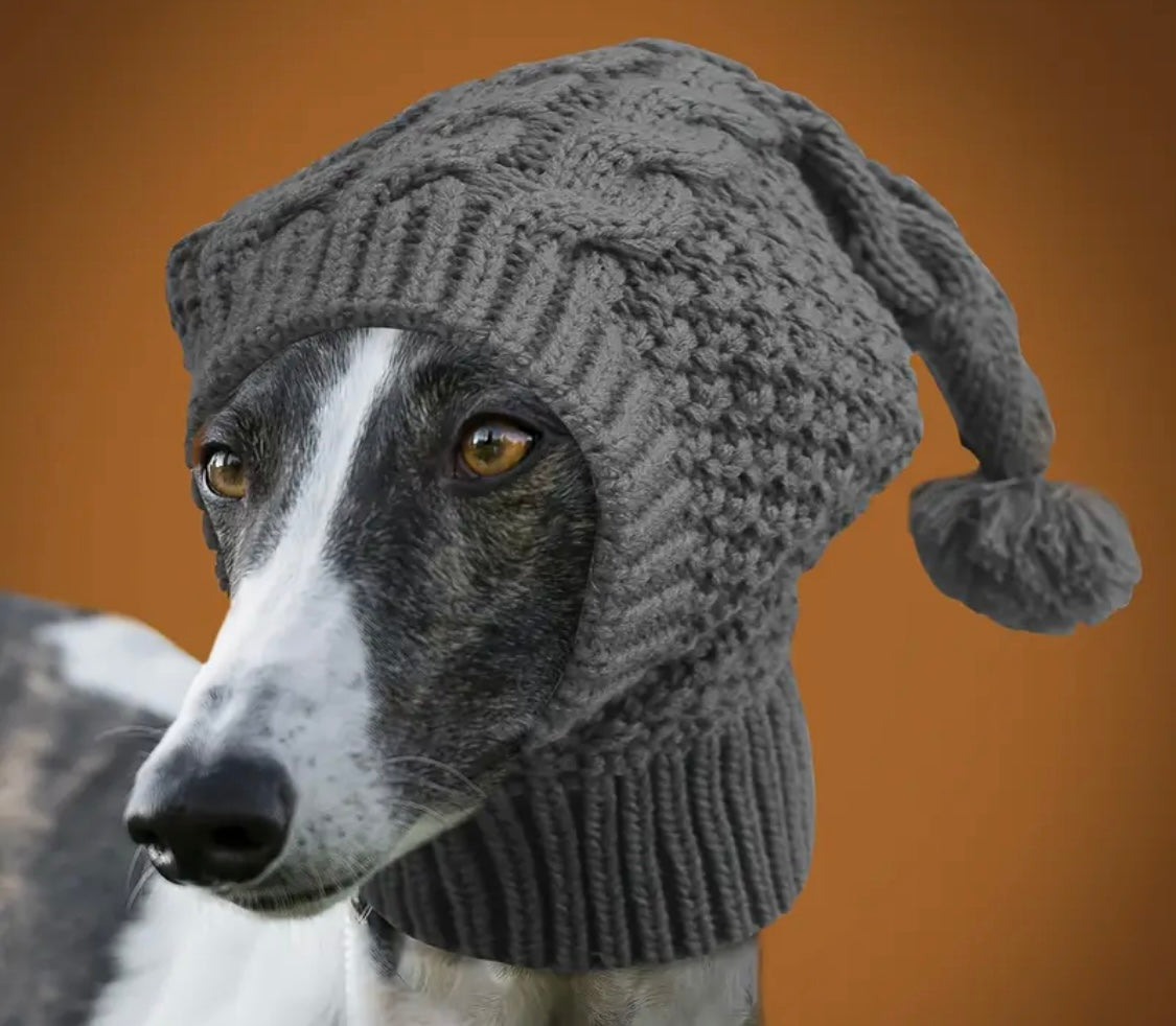 Pet Knitted hat