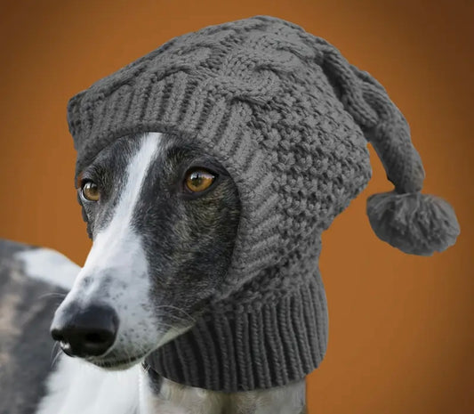Pet Knitted hat