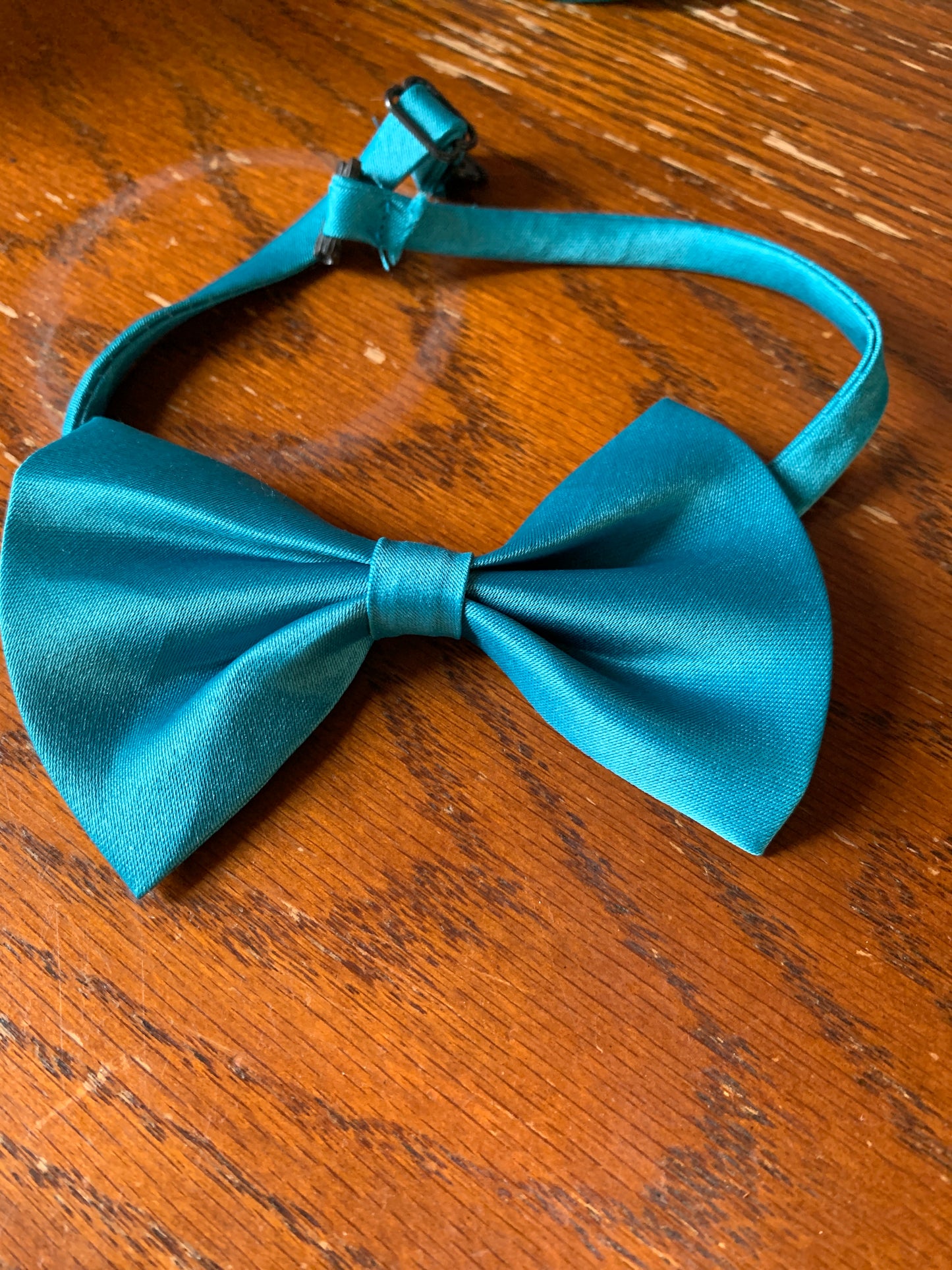 Teal pet bow tie