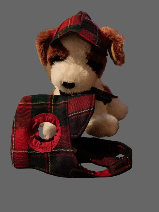 Red plaid pet Cap image 0