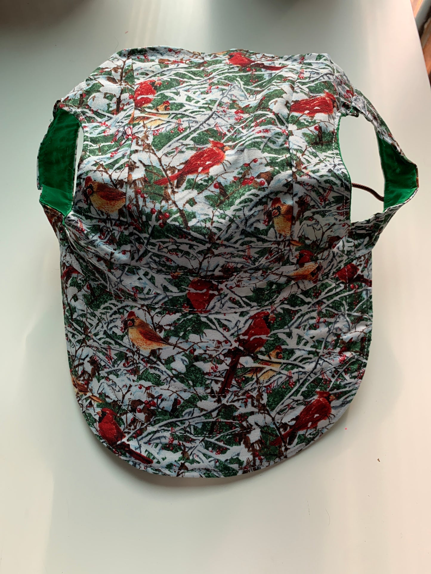 Cardinals pet baseball hat