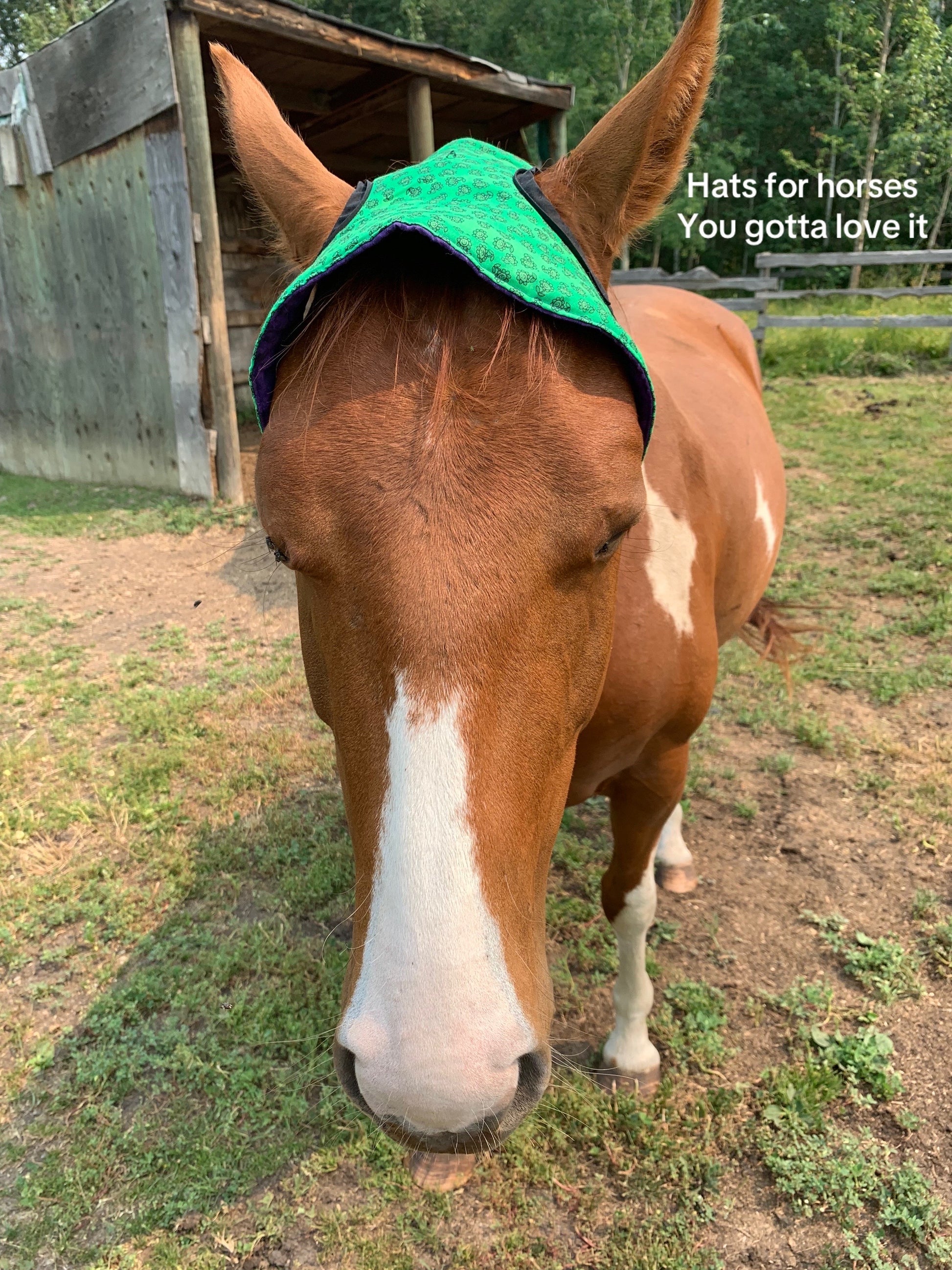 Brown Cow Print Horse Hat image 1