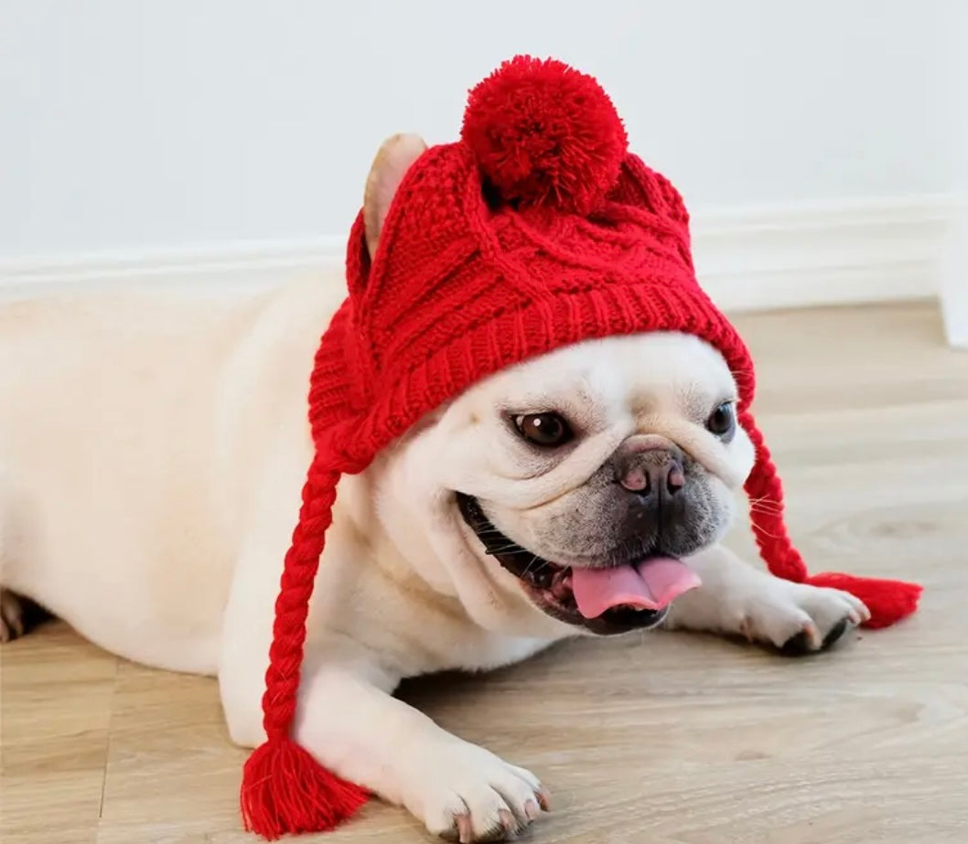 Red pet Toque
