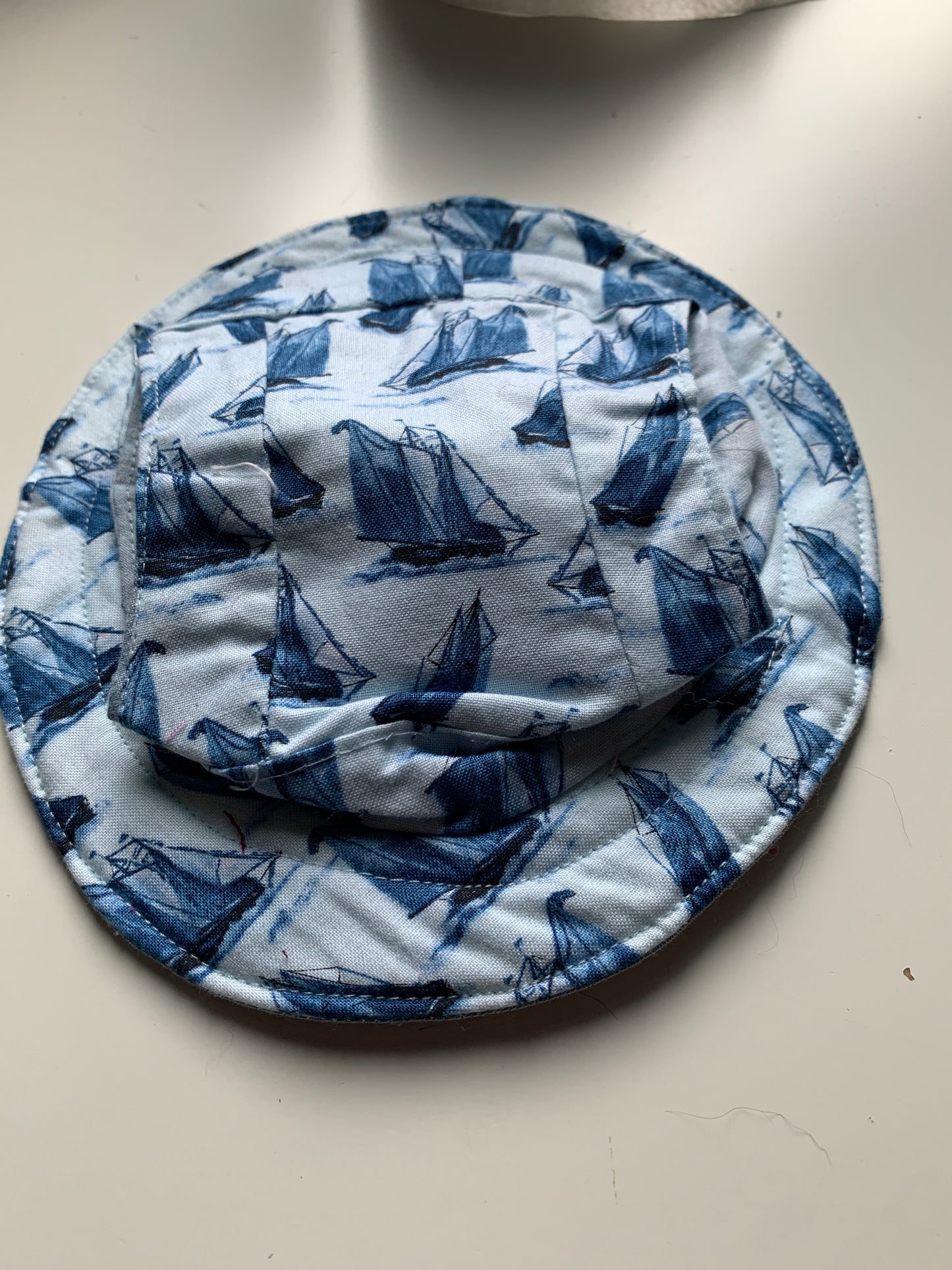 Blue ships pet hats