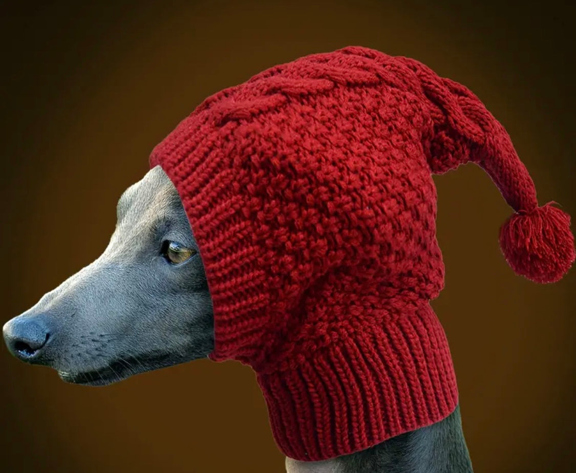 Pet Knitted hat