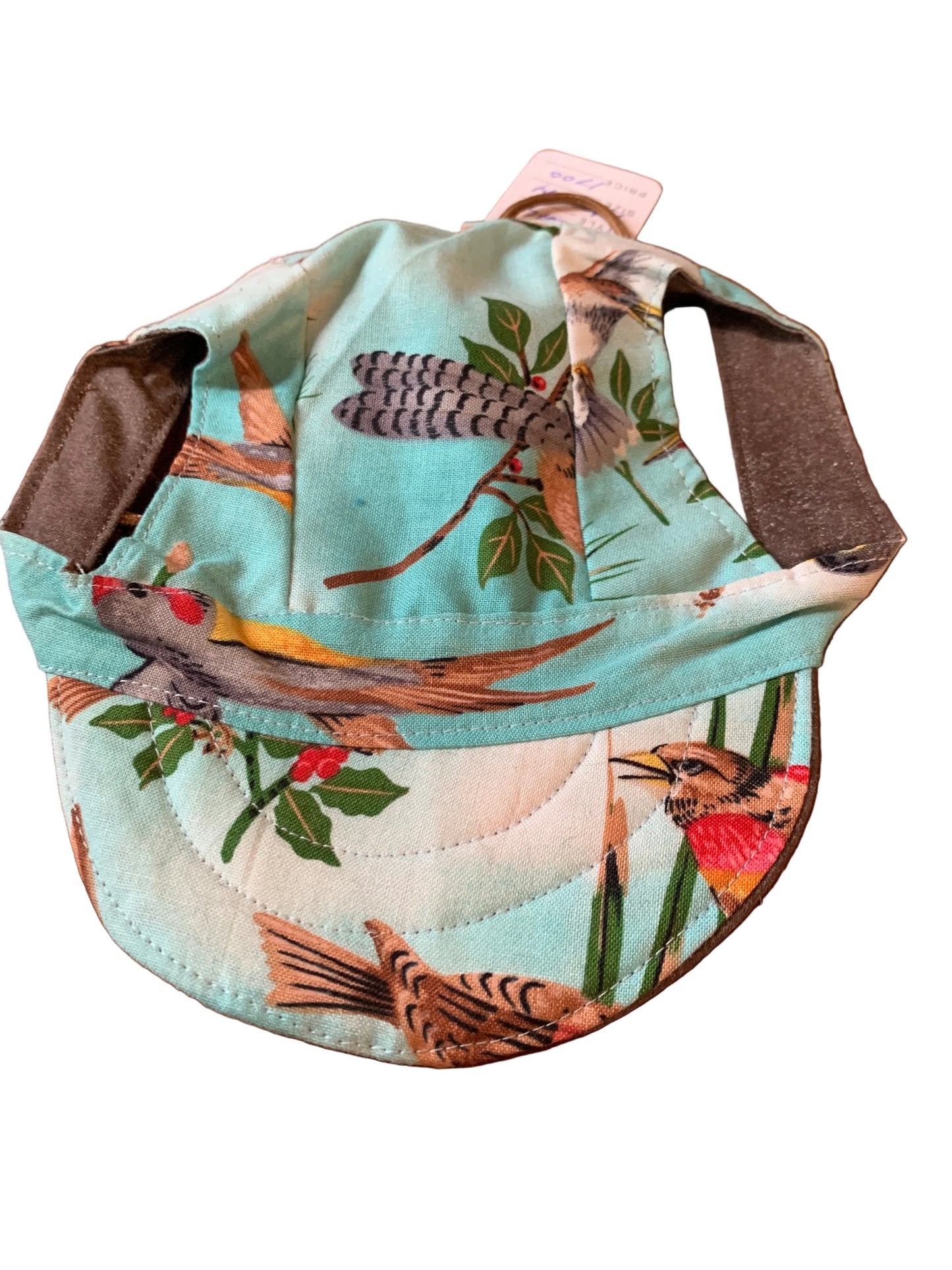 Birds on blue and white pet baseball hats