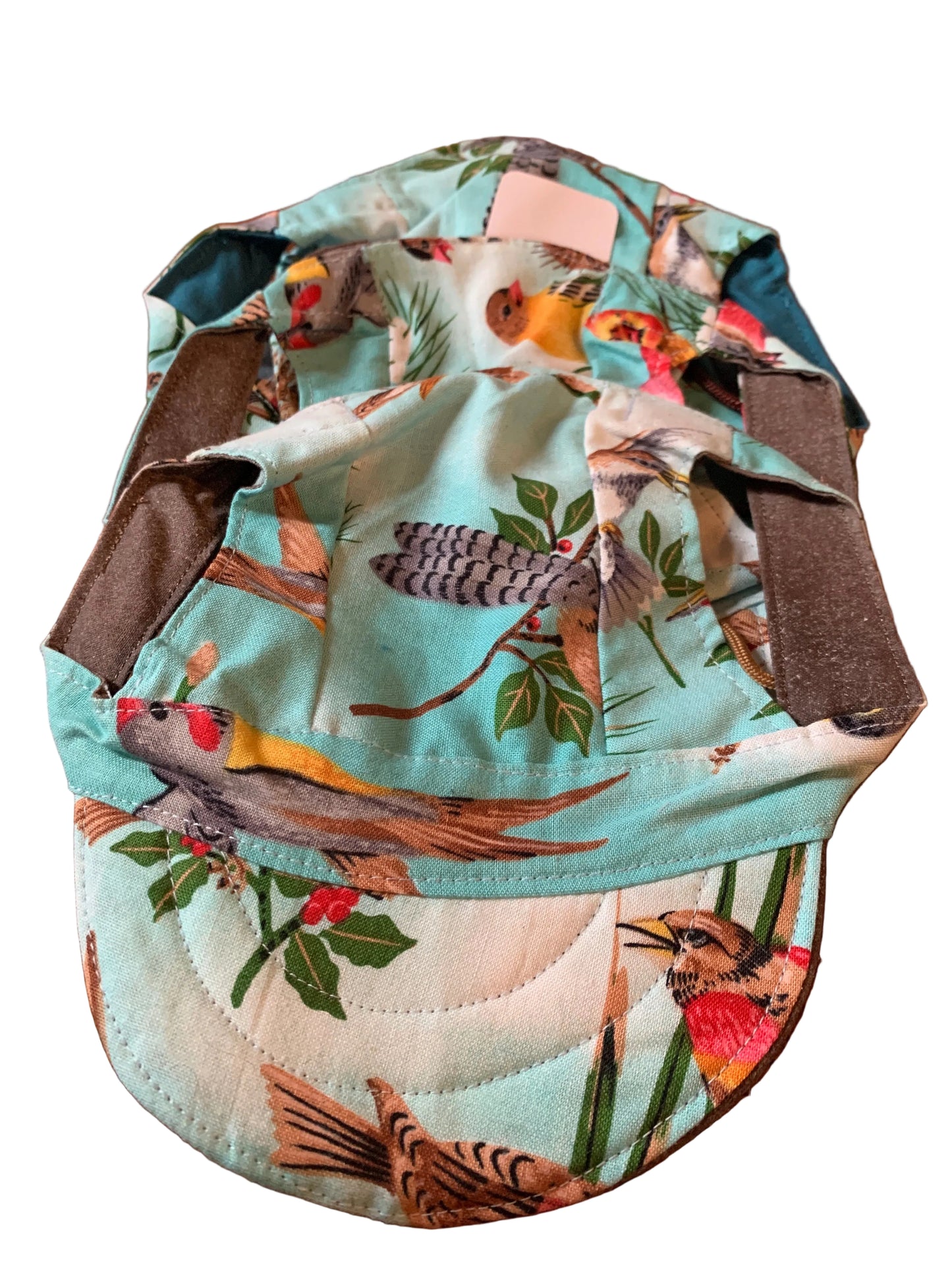Birds on blue and white pet baseball hats