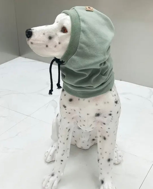 Green hood pet cover