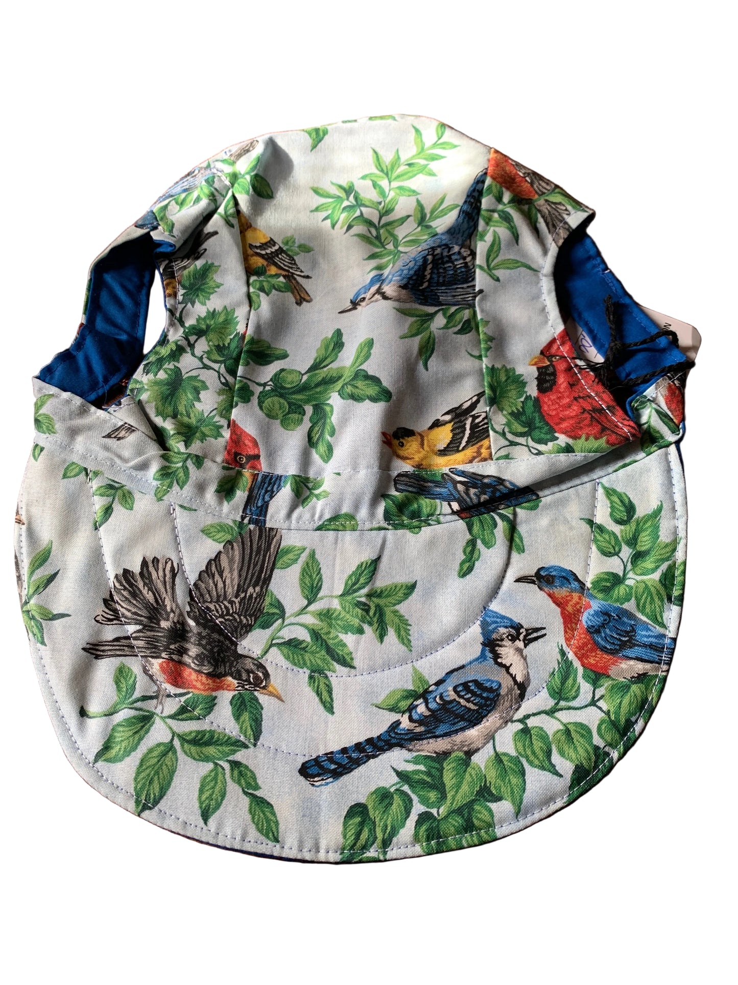 Birds pet baseball hat