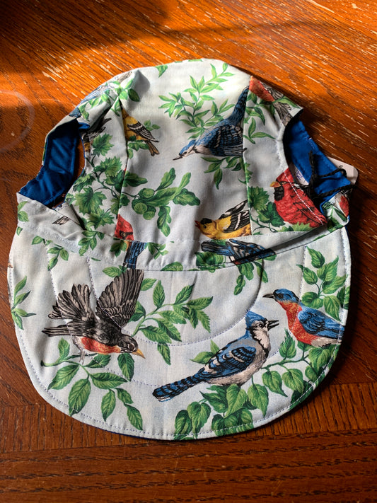 Birds pet baseball hat