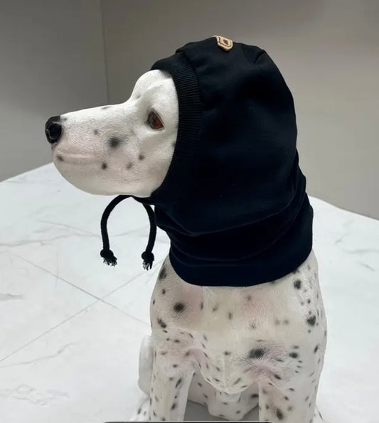 Black Hood Pet Winter Wear