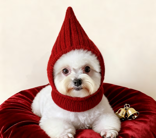 Pet knitted hoods