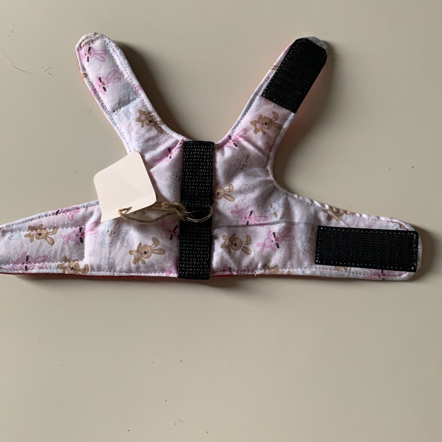 Rabbit harness on white