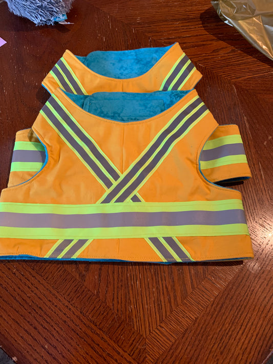 Pet Safety Walking Vest Harness