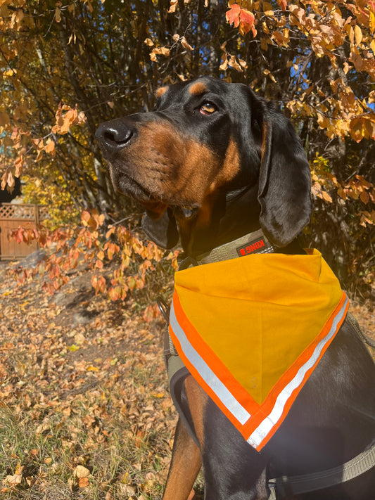 Pet Safety reflective Bandanas