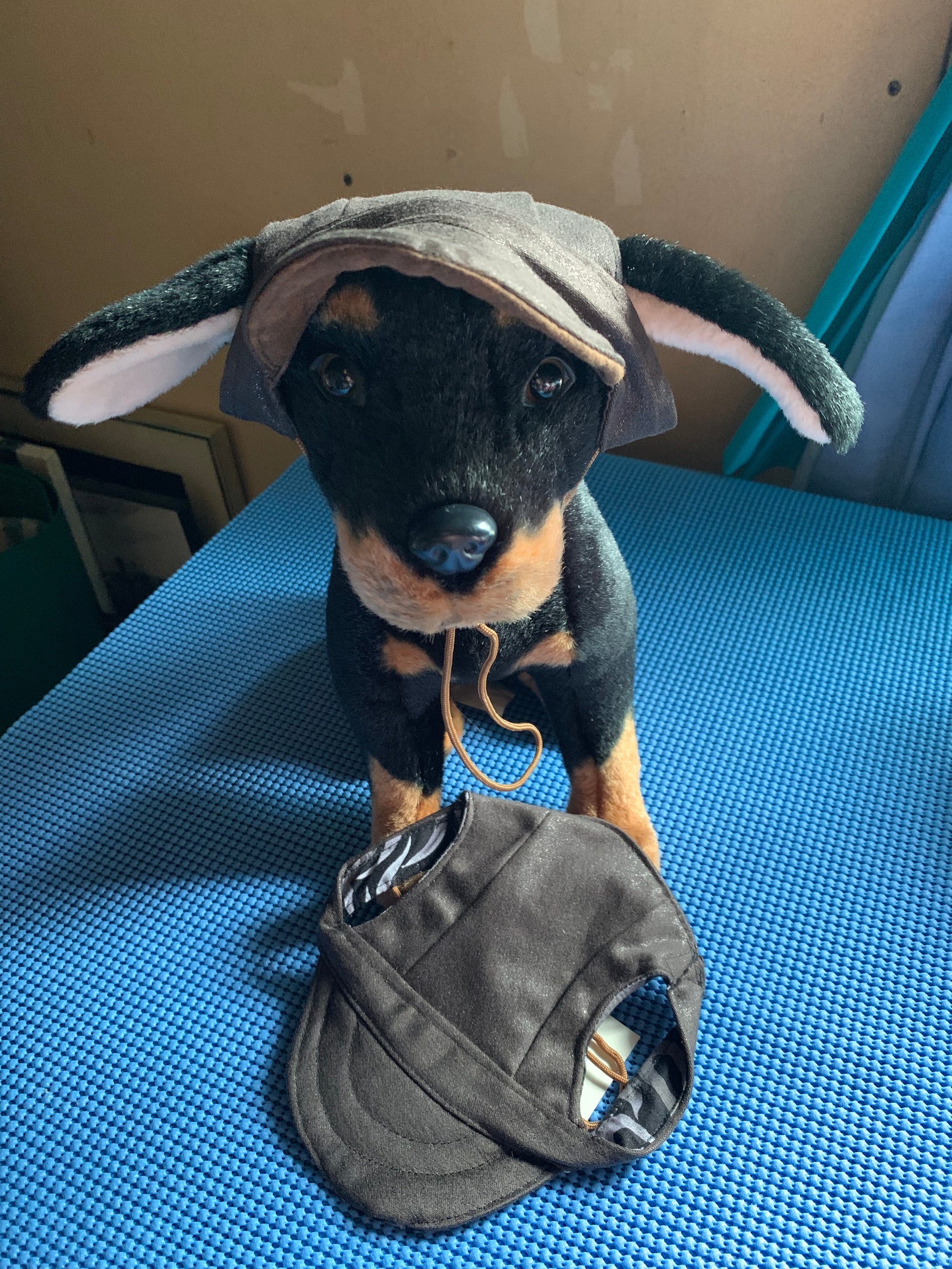Brown Faux Leather Pet Baseball Hat image 0