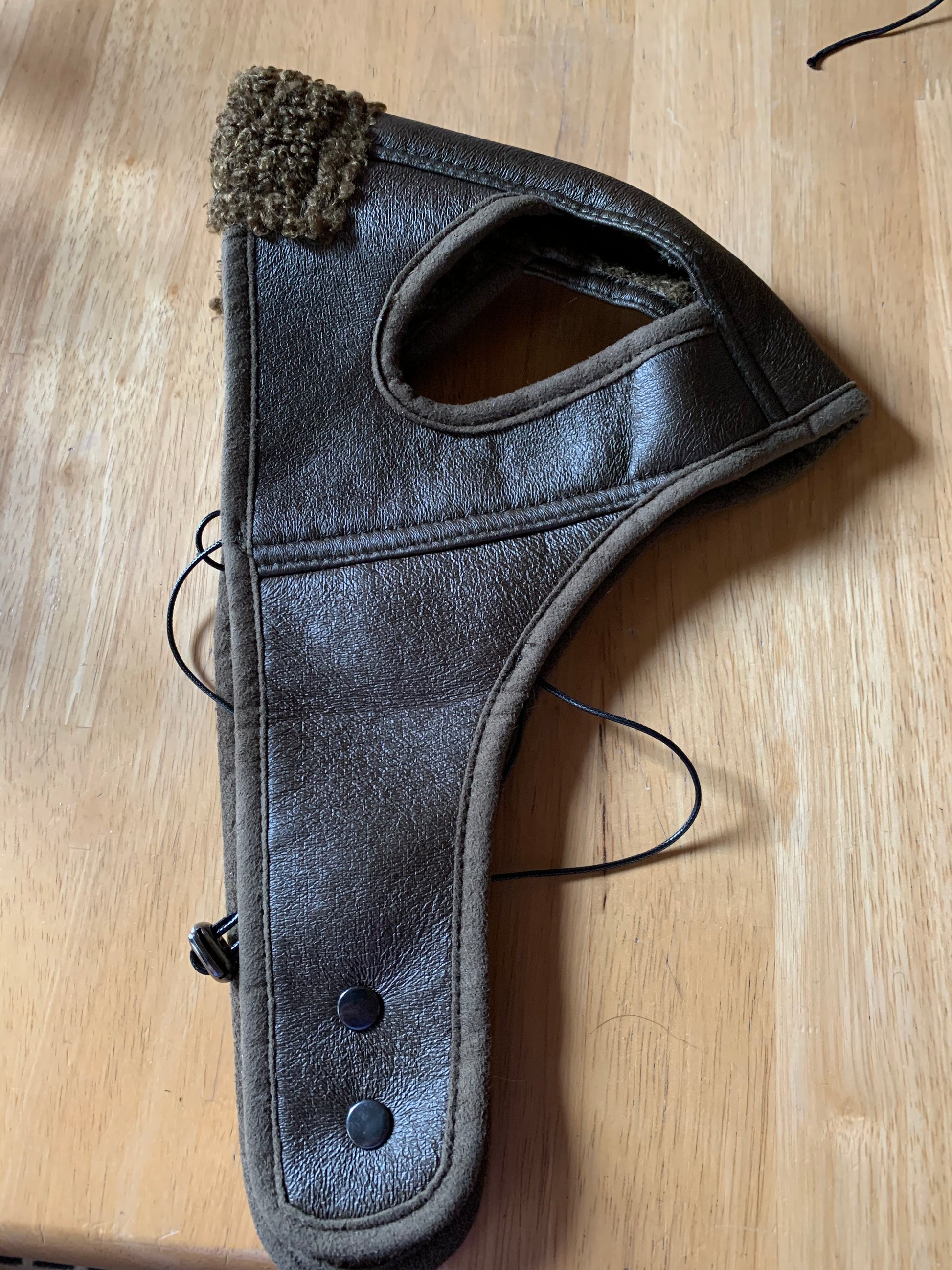 Pet Aviator Hat image 2